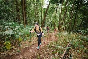 BIB: 
                            <button type="button" onclick="openModal(22556586)" class="btn btn-primary btn-sm float-right btn-popup" data-toggle="modal" data-target=".modal-high-quality">
                        <i class="fas fa-shopping-cart"></i> Add to Cart
                    </button>
                                            <button type="button" onclick="isThisMe(22556586, true)" class="btn btn-success btn-sm float-right btn-popup btn-isme hidden" data-toggle="tooltip" data-placement="bottom" title="นี่คือรูปของคุณใช่ไหม คลิกที่นี่เพื่อเอาเข้าอัลบั้ม">
                        <i class="fas fa-plus"></i> Add to album
                    </button>
                    <button type="button" onclick="isThisMe(22556586, false)" class="btn btn-warning btn-sm float-right btn-popup btn-isnotme hidden">
                        <i class="fas fa-ban"></i> Remove from album
                    </button>